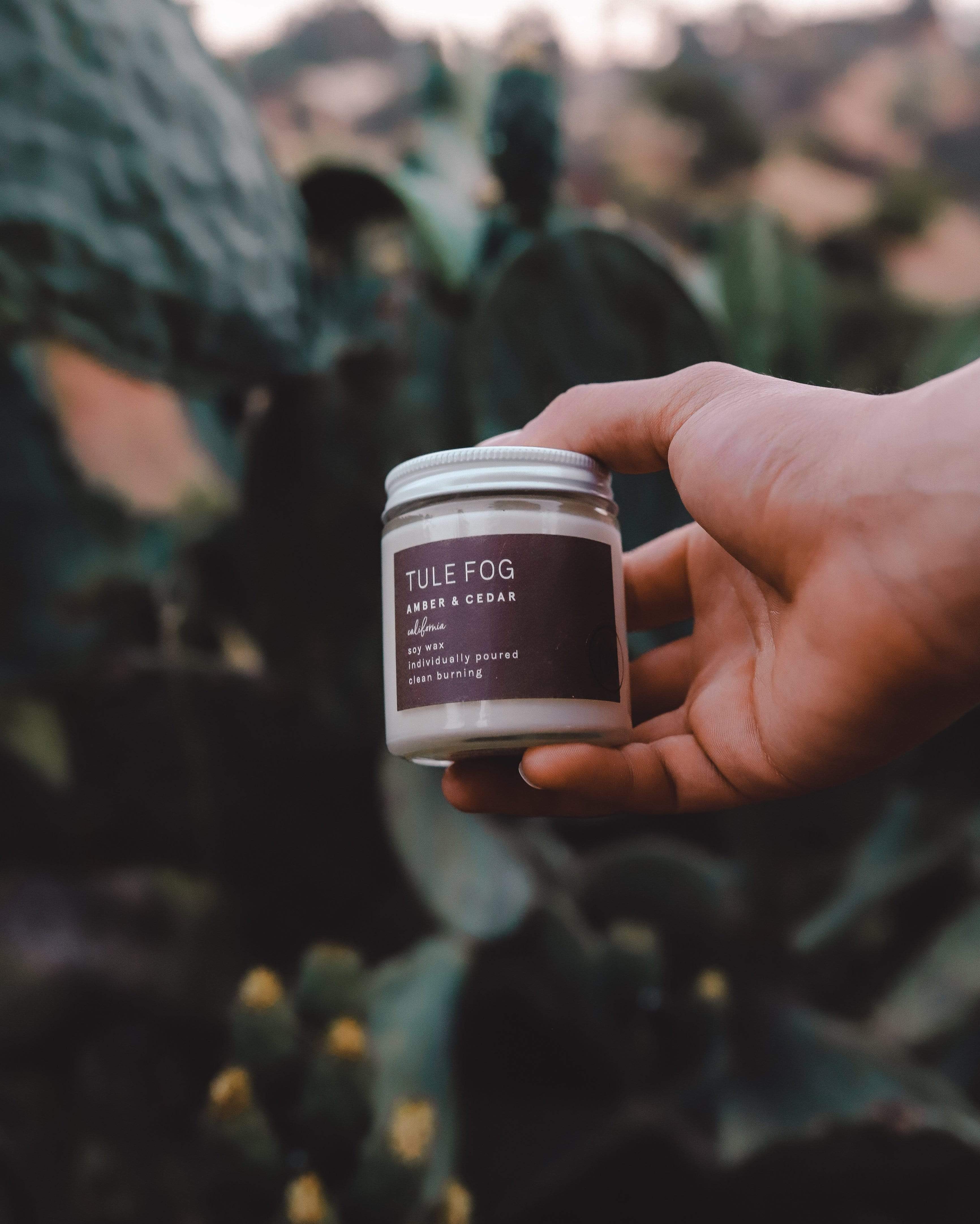 TULE FOG Fragrance Amber + Cedar Soy Candle